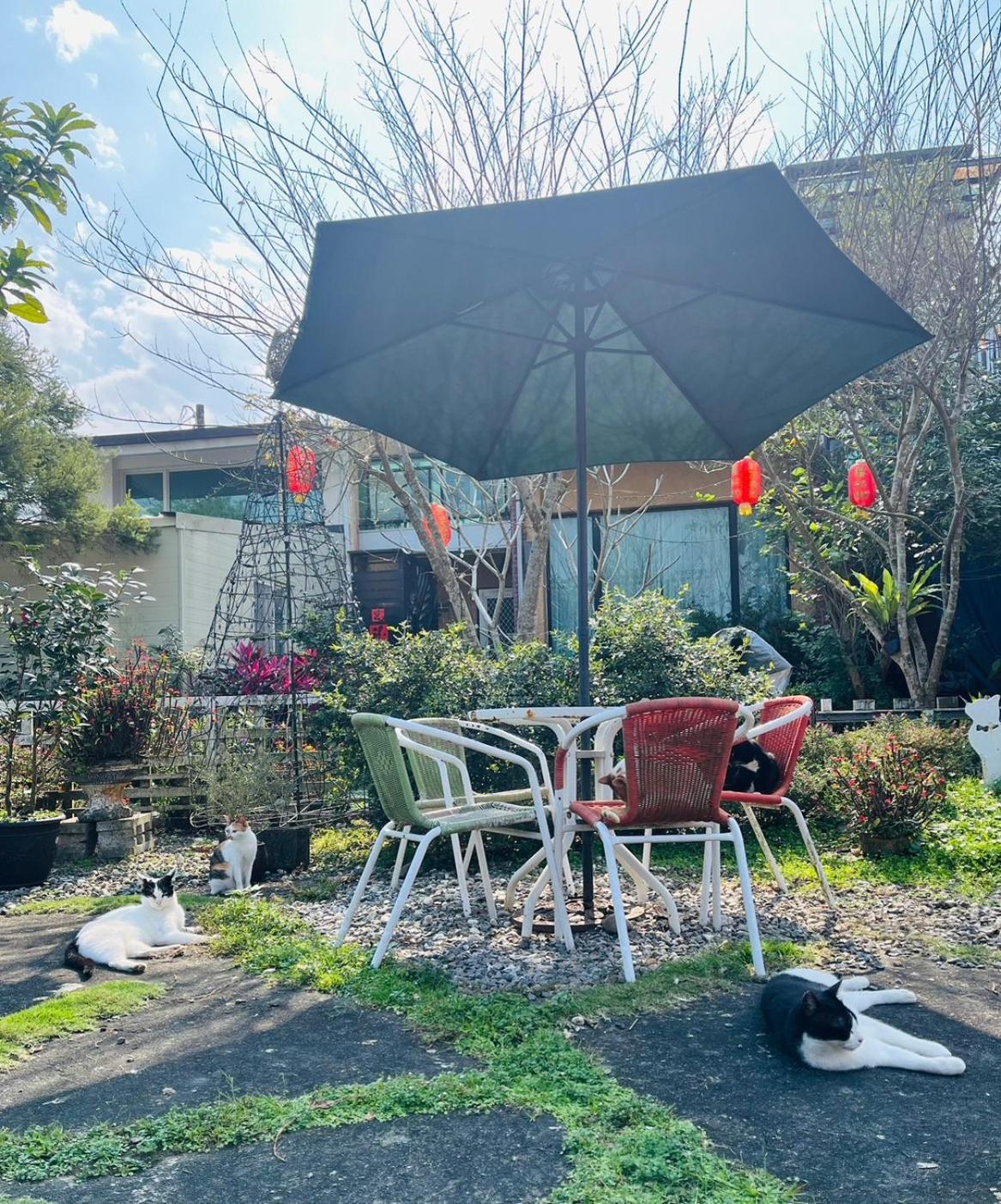 Cat Sky Country Homestay Sanxing Exterior foto