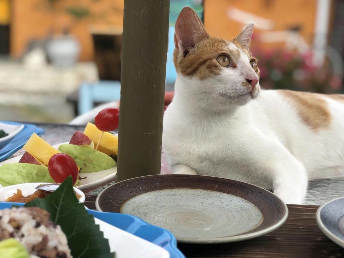 Cat Sky Country Homestay Sanxing Exterior foto