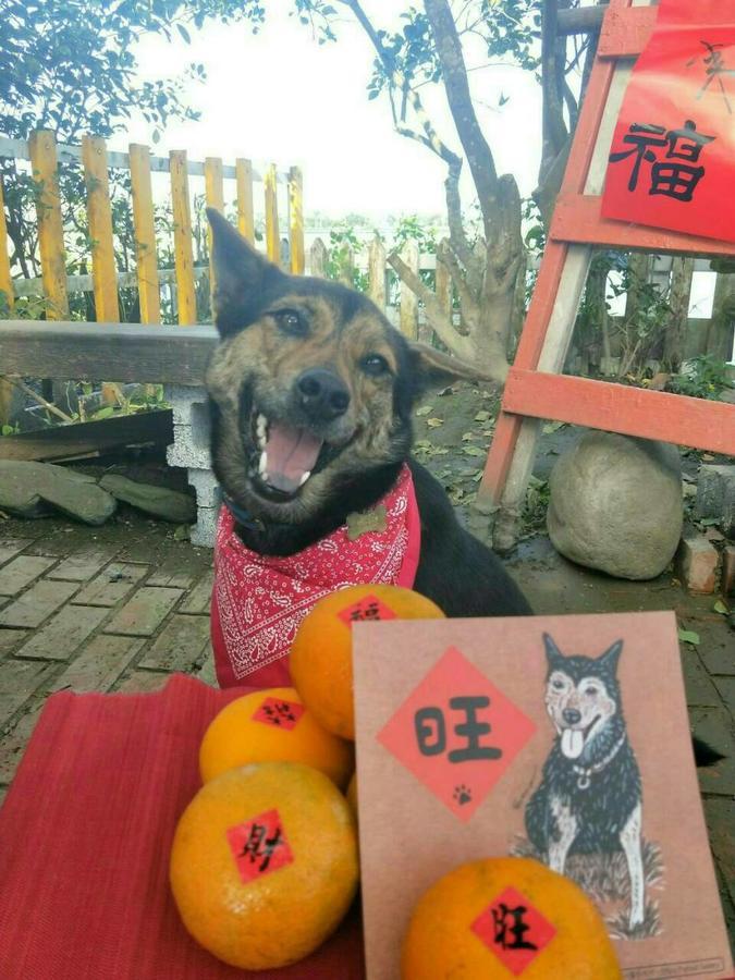 Cat Sky Country Homestay Sanxing Exterior foto