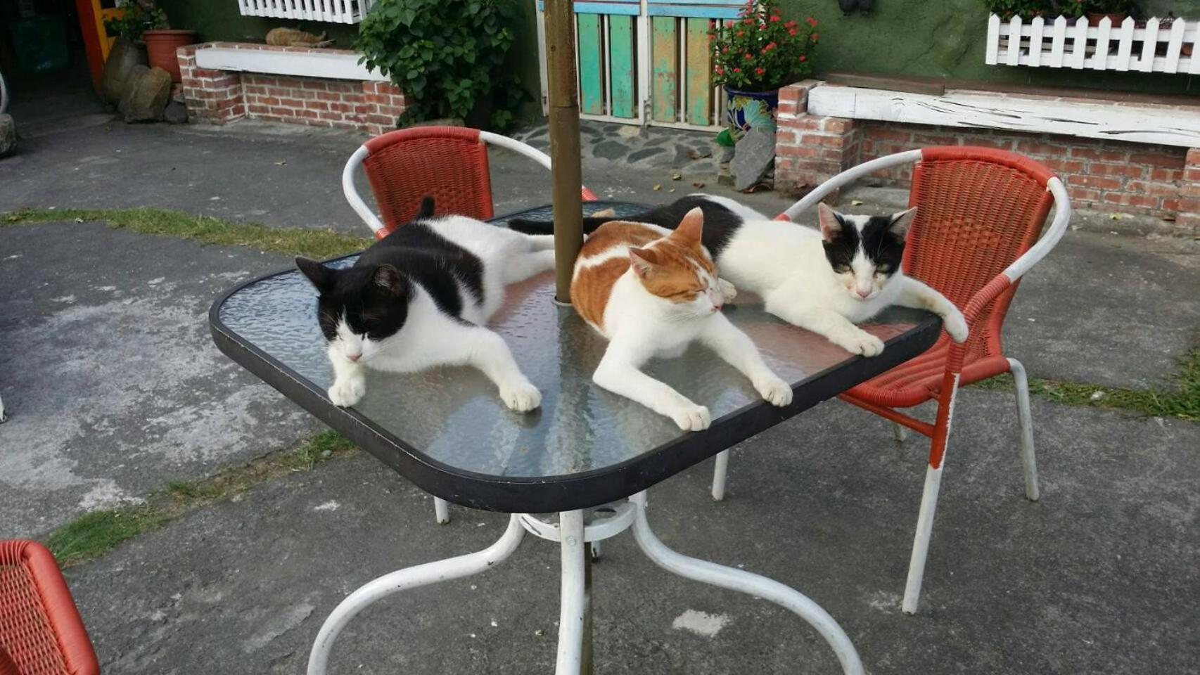 Cat Sky Country Homestay Sanxing Exterior foto
